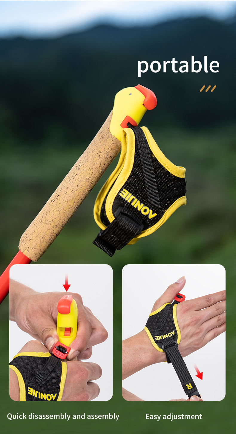 2 pcs Aonijie E4212 Full Carbon Fiber Trekking Pole 120cm - Black/Red