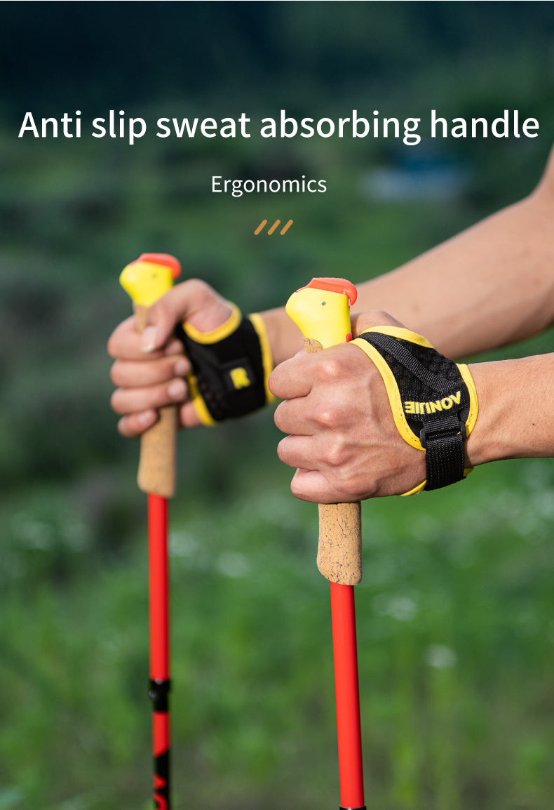 2 pcs Aonijie E4212 Full Carbon Fiber Trekking Pole 120cm - Black/Red