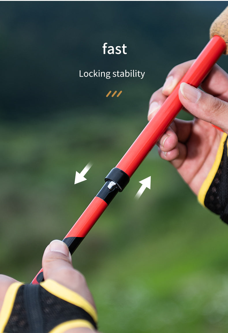 2 pcs Aonijie E4212 Full Carbon Fiber Trekking Pole 120cm - Black/Red
