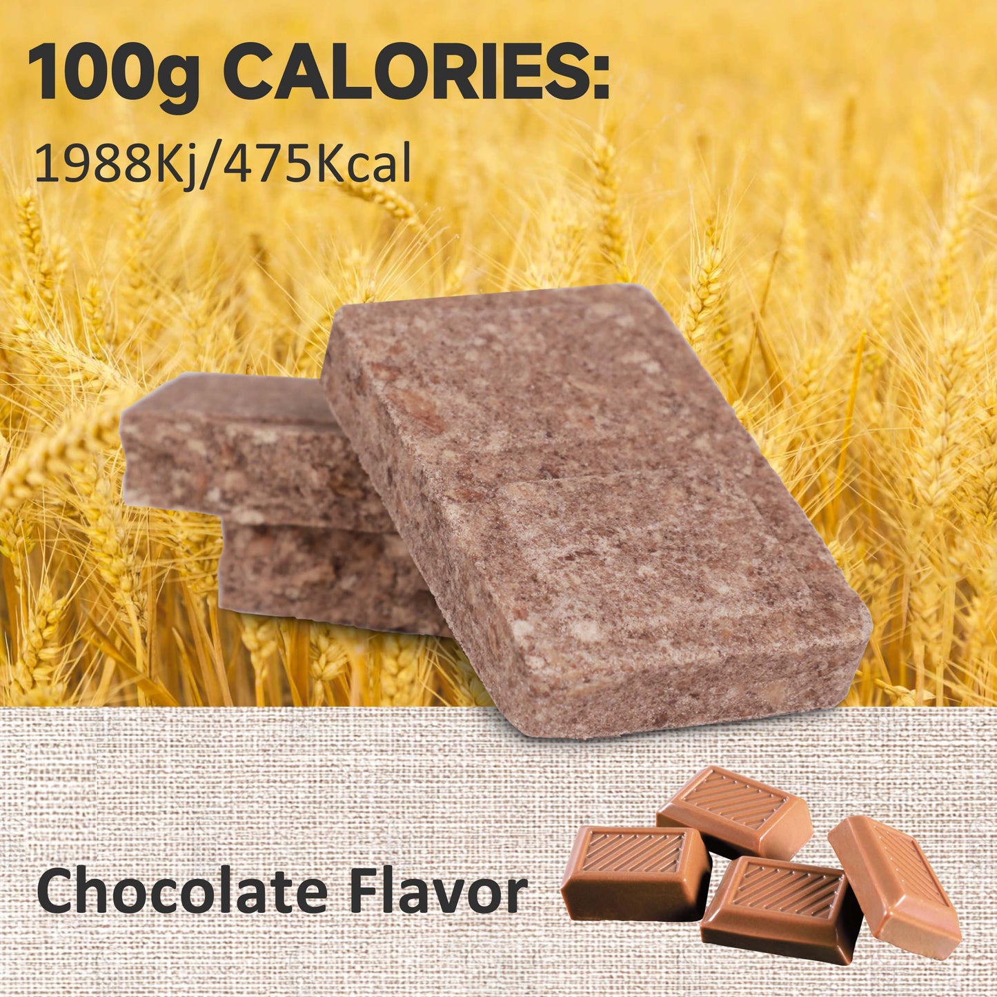 900 High Energy CHOCOLATE Bar 120g (1pc) - Exp. Date October 2044
