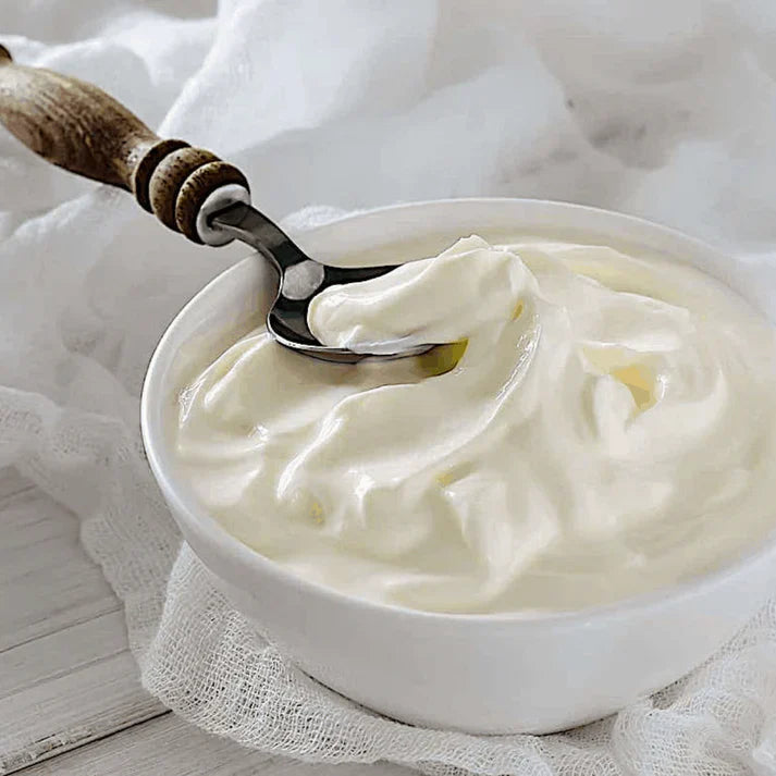 GREEK YOGURT STARTER makes 30L/50L (freeze-dried) - IN POWDER FORM