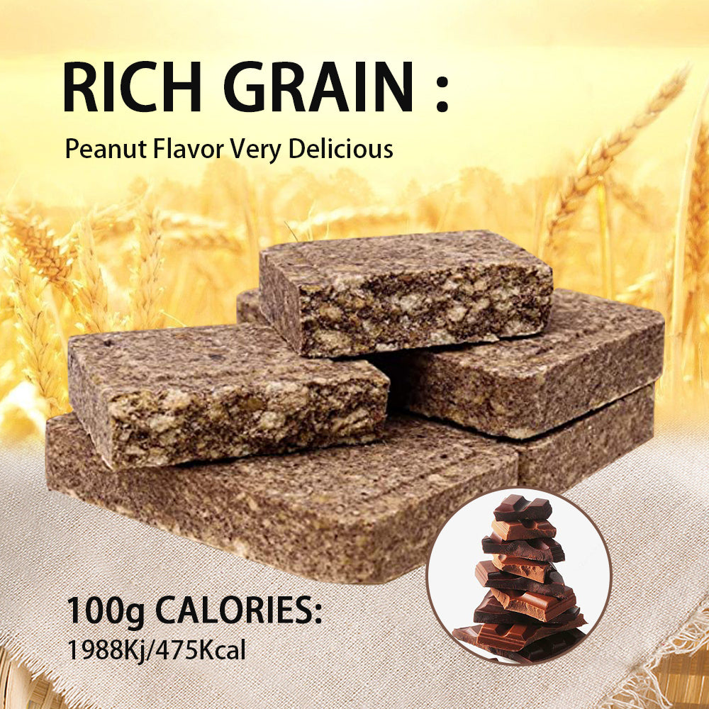 CHOCOLATE High Energy Bar 120g - Exp. Date October 2043