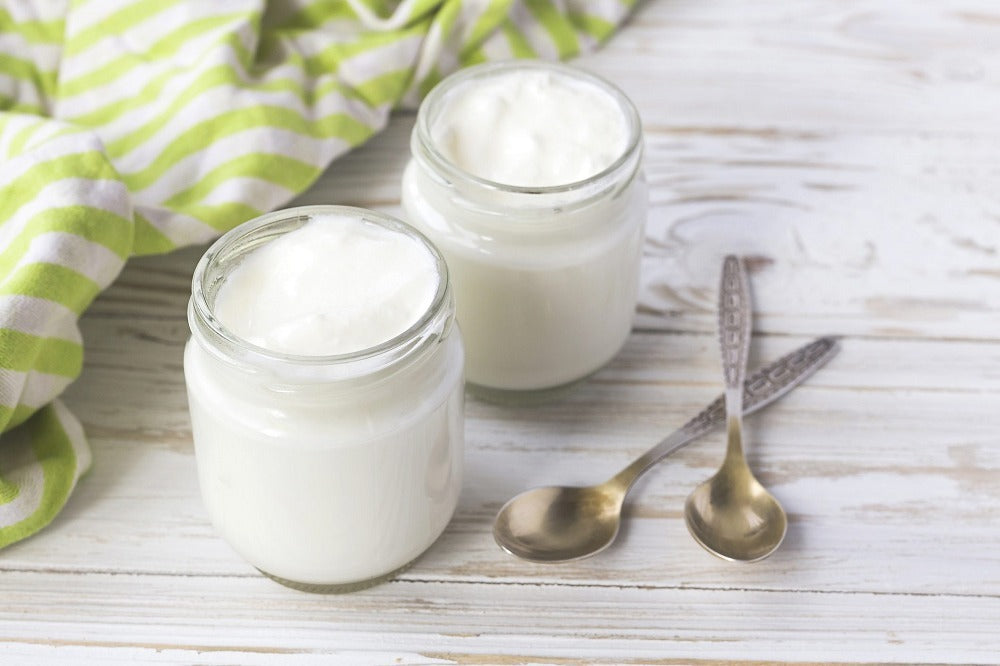 GREEK YOGURT STARTER makes 1 liter