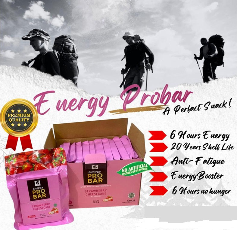 STRAWBERRY CHEESECAKE High Energy Bar 120g x 12pcs (1 Box) - Exp. Date 2043