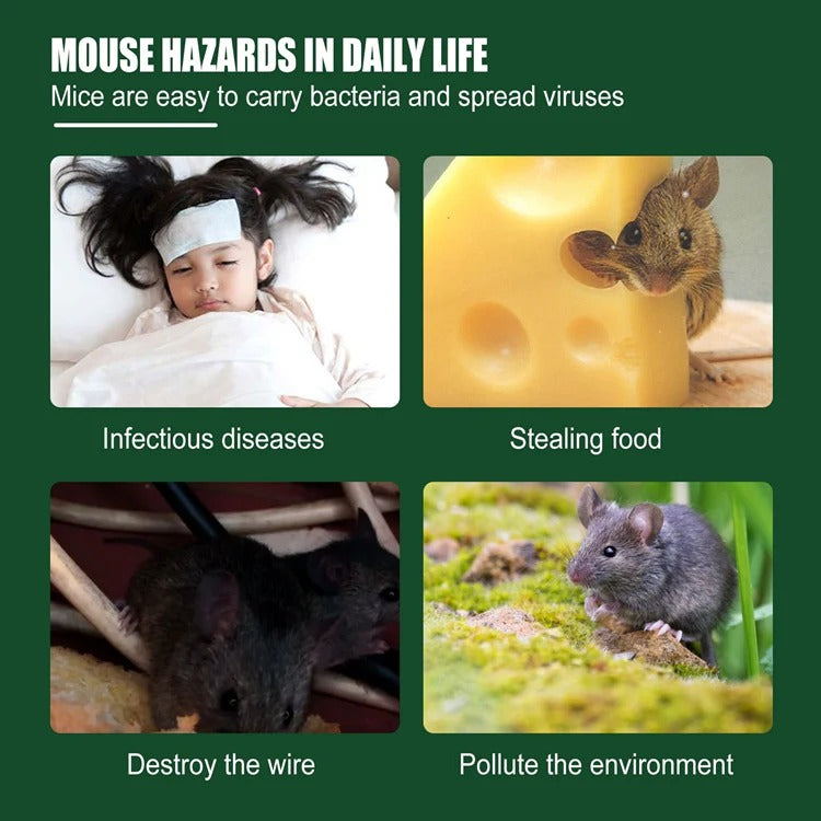 Yegbong MOUSE REPELLENT GEL 10g - deters rats, rodents, gophers and small mammals