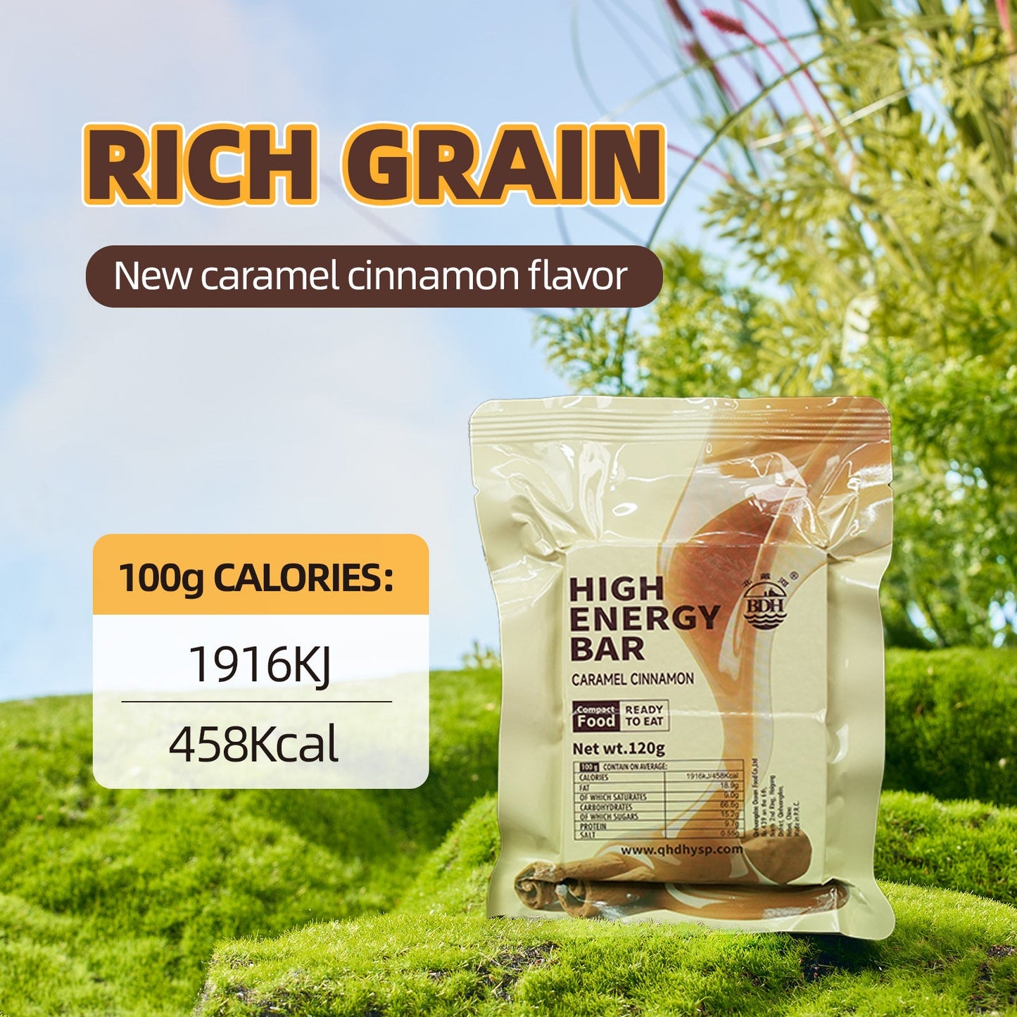 CARAMEL CINNAMON High Energy Bar 120g x 12pcs (1 Box) - Exp. Date 2045