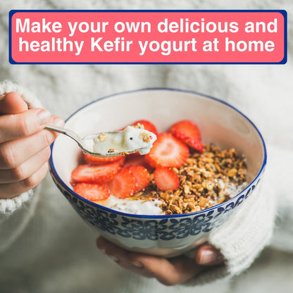 DIETARY FIBER + KEFIR YOGURT STARTER CULTURE 12 SACHETS IN 1 POUCH - 1 sachet makes 1 liter