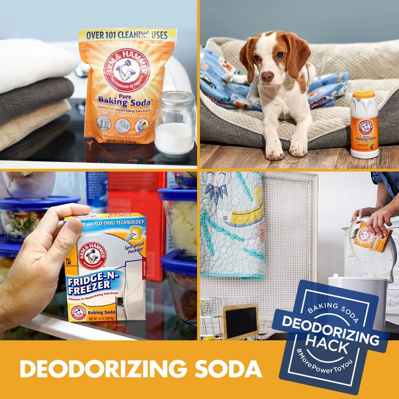 1 CASE - Arm & Hammer PURE BAKING SODA 1lb / 454g / 16oz