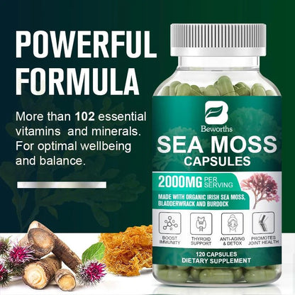 Beworths Sea Moss Capsules 2000mg