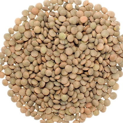 EASYCOOK LENTILS 400G x 30